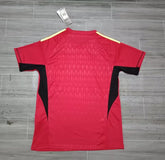 Retro Argentina national 2022 Goalkeeper 2stars red